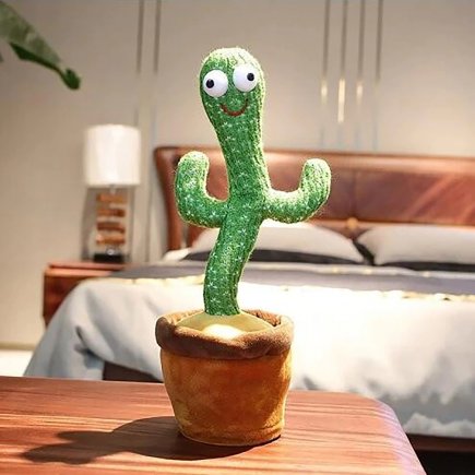Cactus danseur